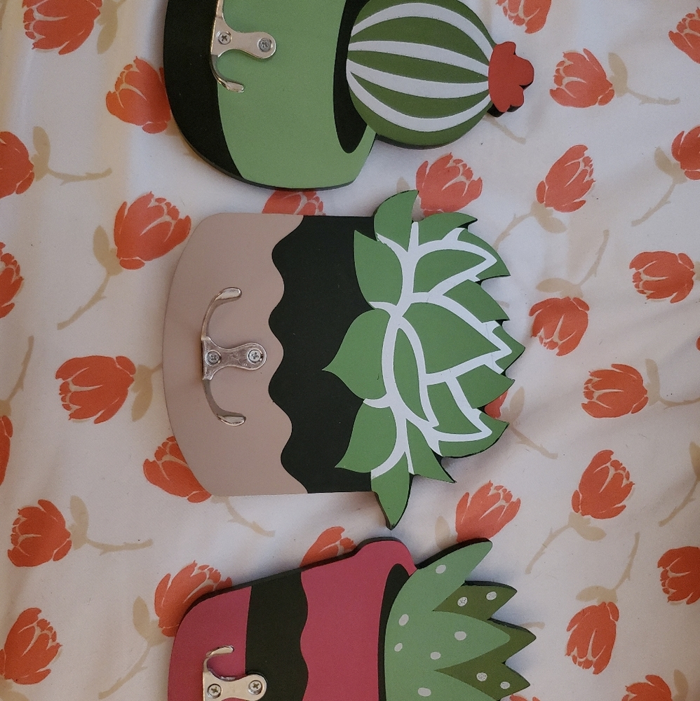 Set of 3 succulent hooks